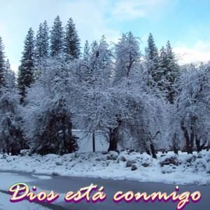 Meet your Posher, Moira